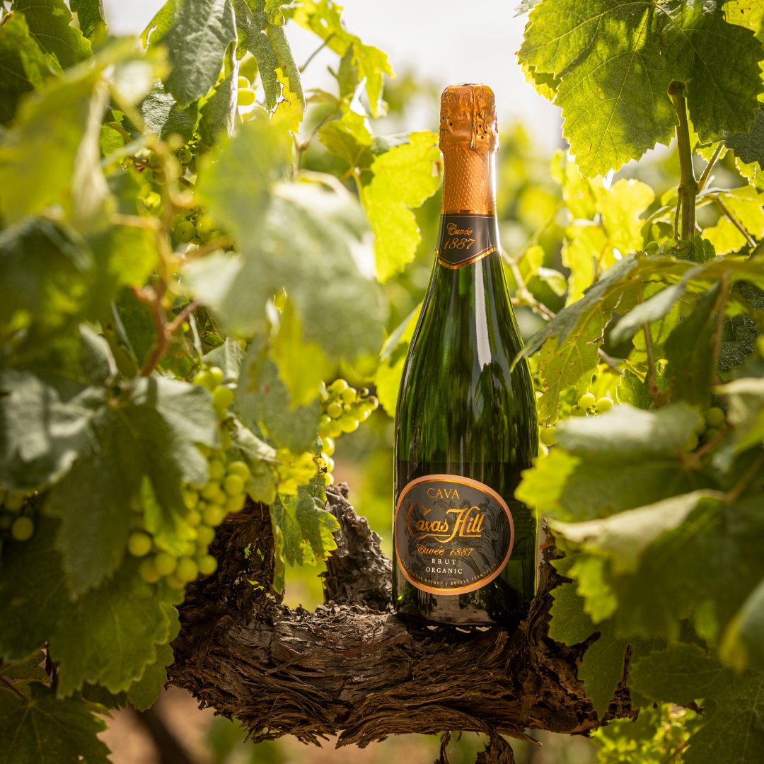 Cavas Hill Cuvée 1887 Brut