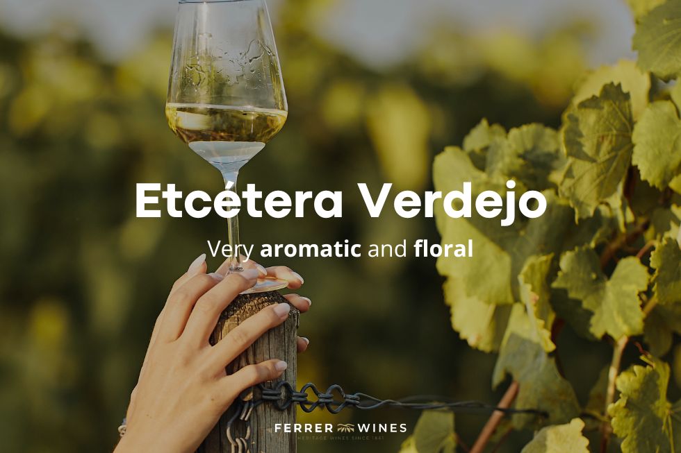 vino blanco - white wine