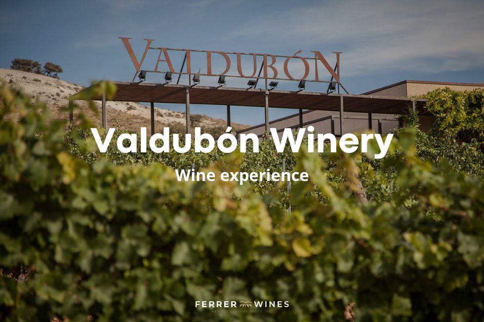 Valdubón winery
