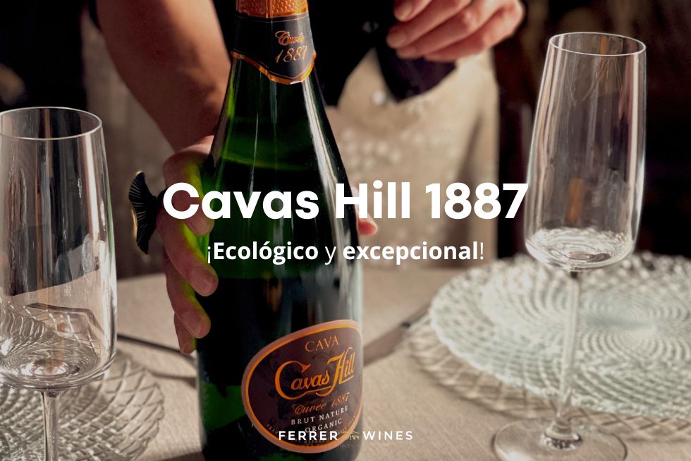 cava de cavas hill
