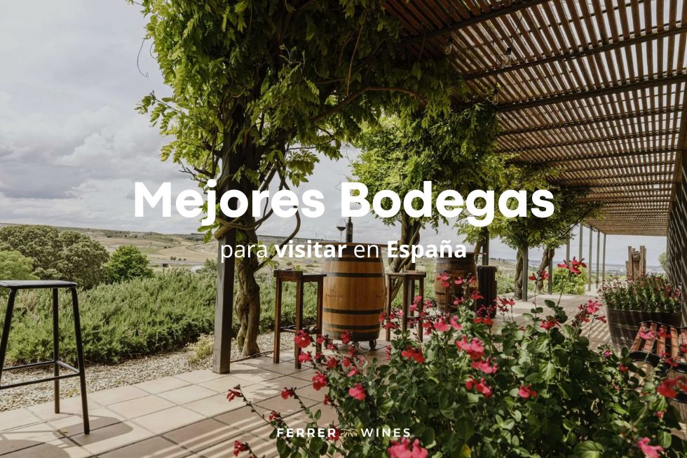 Mejores bodegas para visitar en España