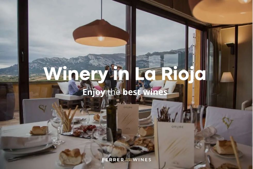 the best winnery in la rioja