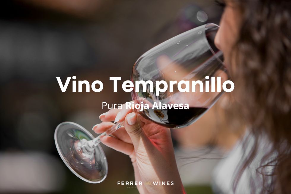 Vino tinto tempranillo