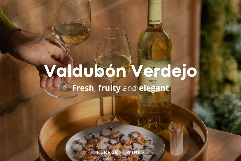 white wine valdubón verdejo