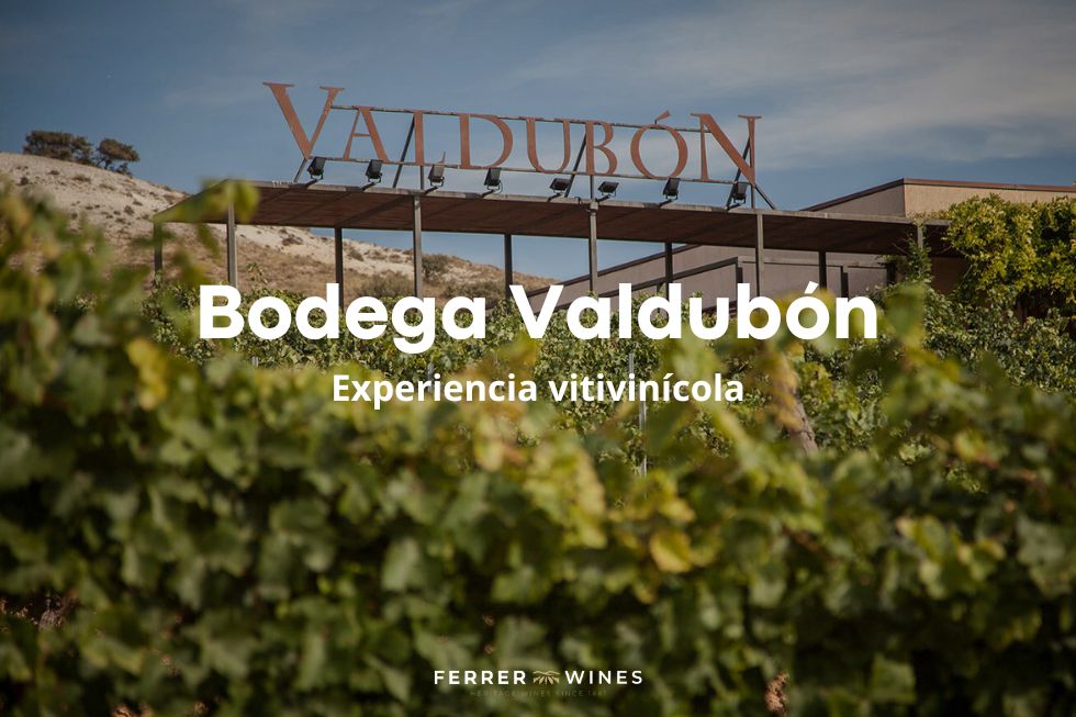 Bodega Valdubón