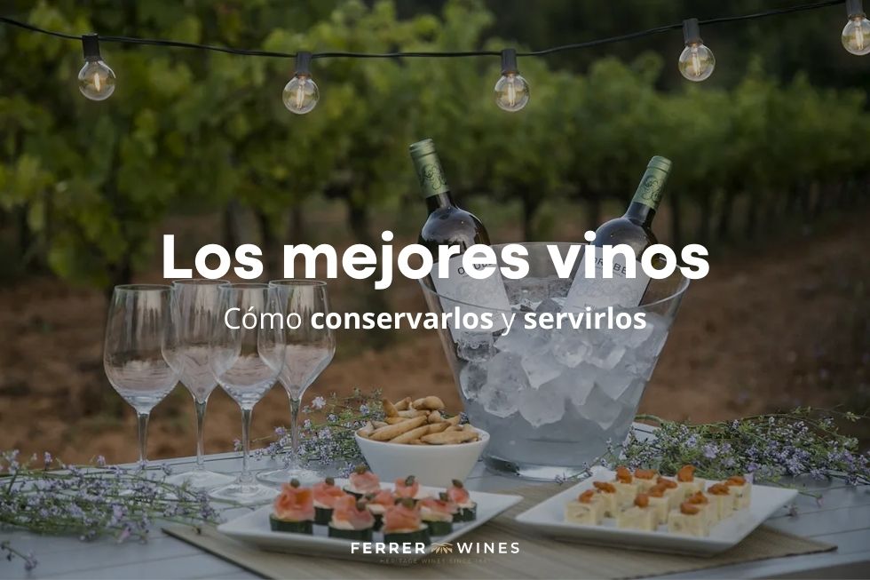 Los mejores vinos