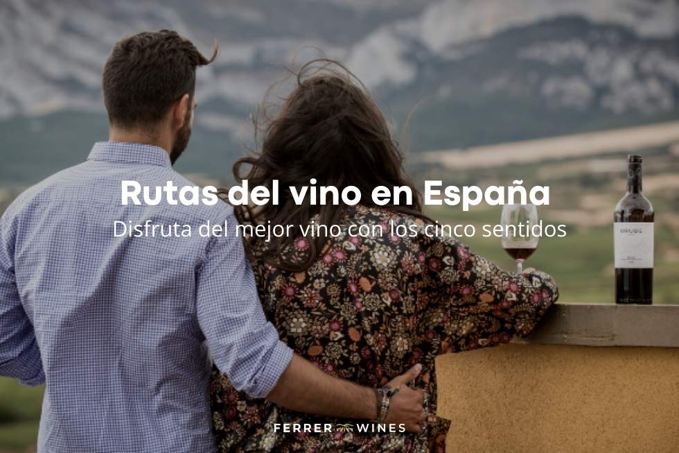 Rutas del vino España disfruta de el mejor vino con los cinco sentidos