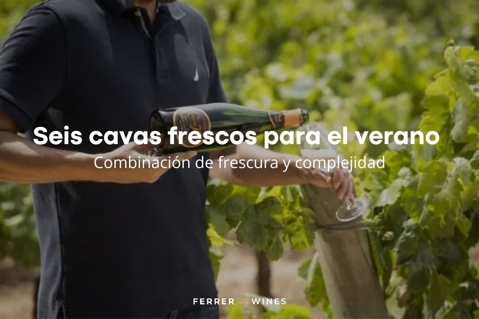 cava brut nature