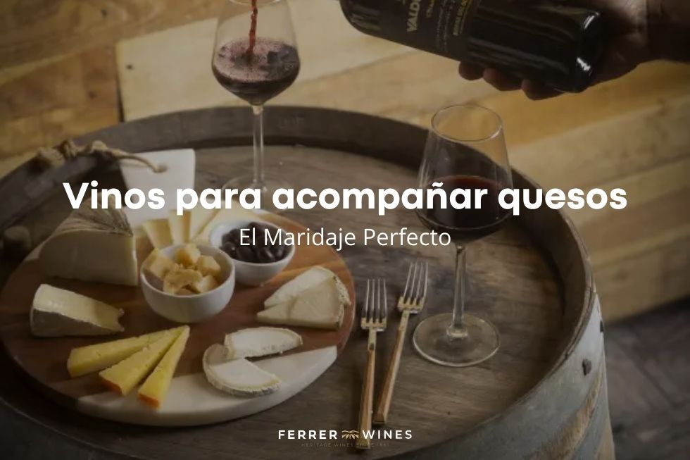 vinos para acompañar quesos