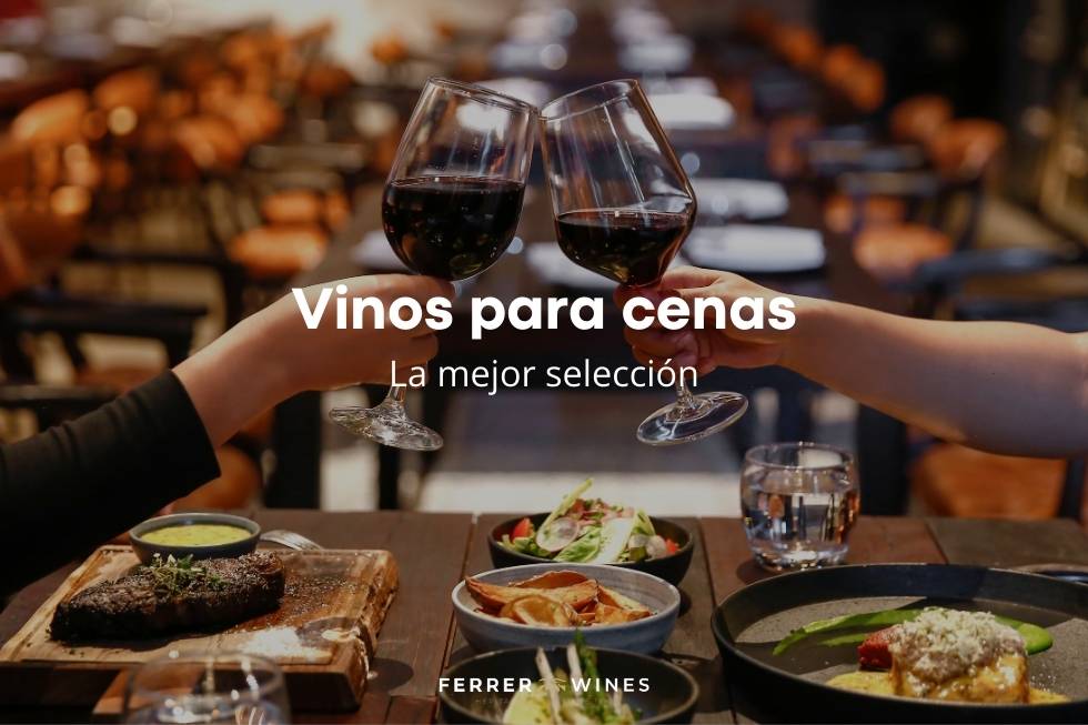 Mejores Vinos para Acompañar una Cena