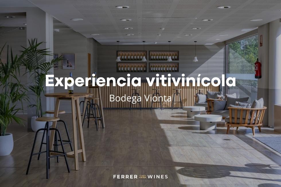 Experiencia vitivinícola