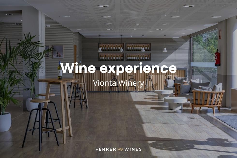 Wine experience