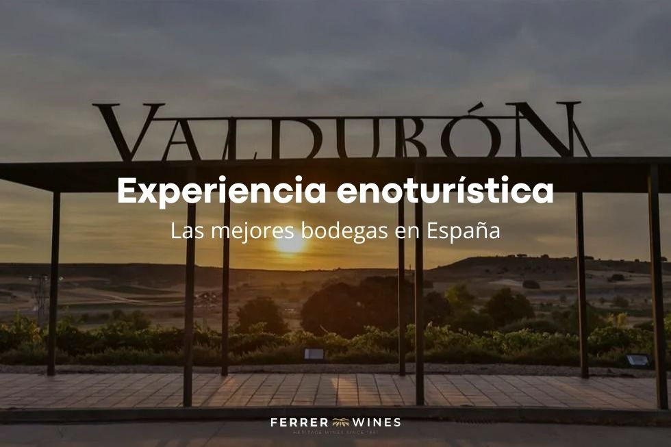 Mejores Bodegas en España para Hacer Enoturismo