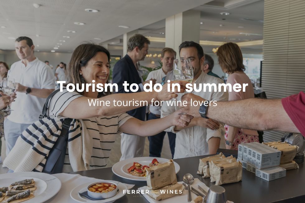 Tourist trips to do in summer Wine tourism for wine lovers