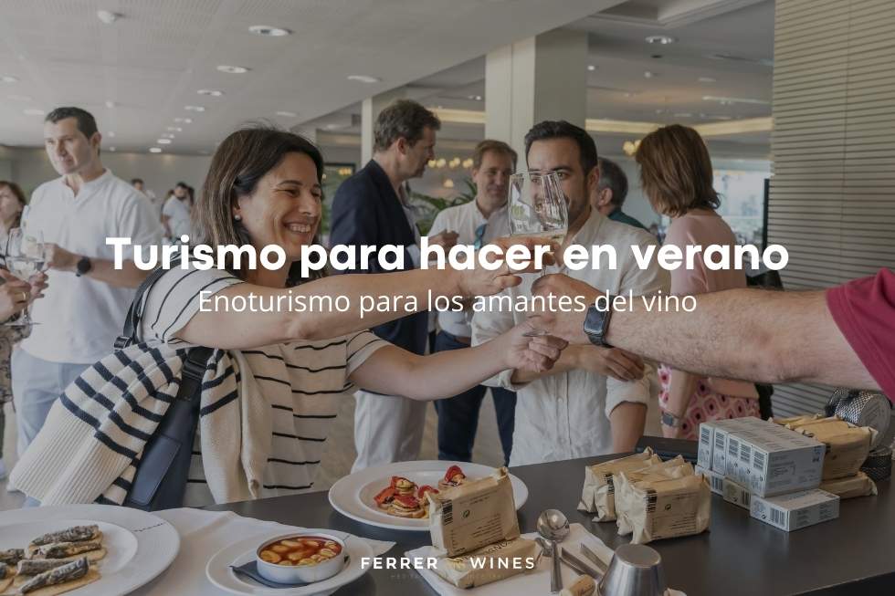 Salidas turísticas para hacer en verano Enoturismo para los amantes del vino