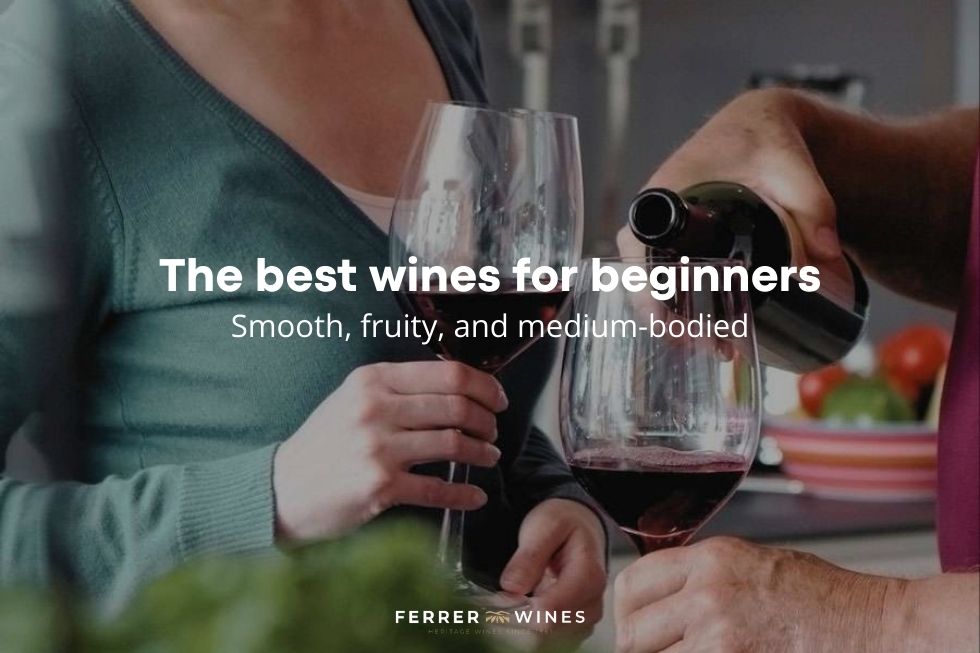 The best wines for beginners
