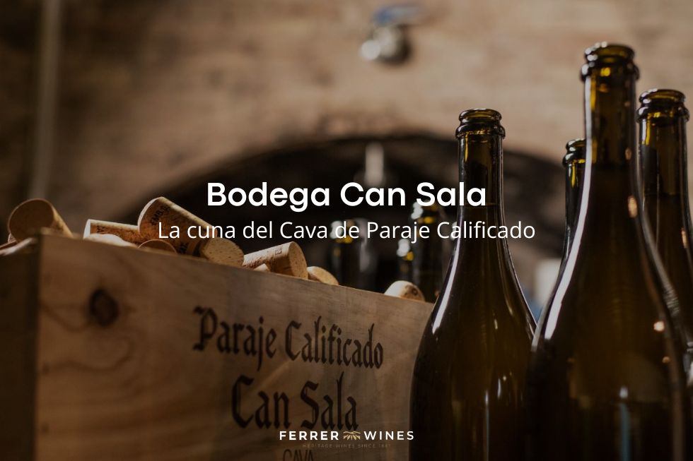 Bodega Can Sala la cuna del Cava de Paraje Calificado