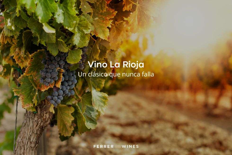 Vino La Rioja un clásico que nunca falla