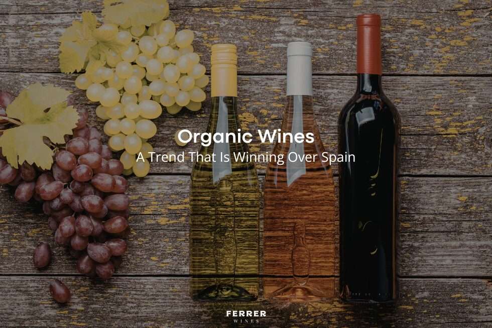 Organic Wines